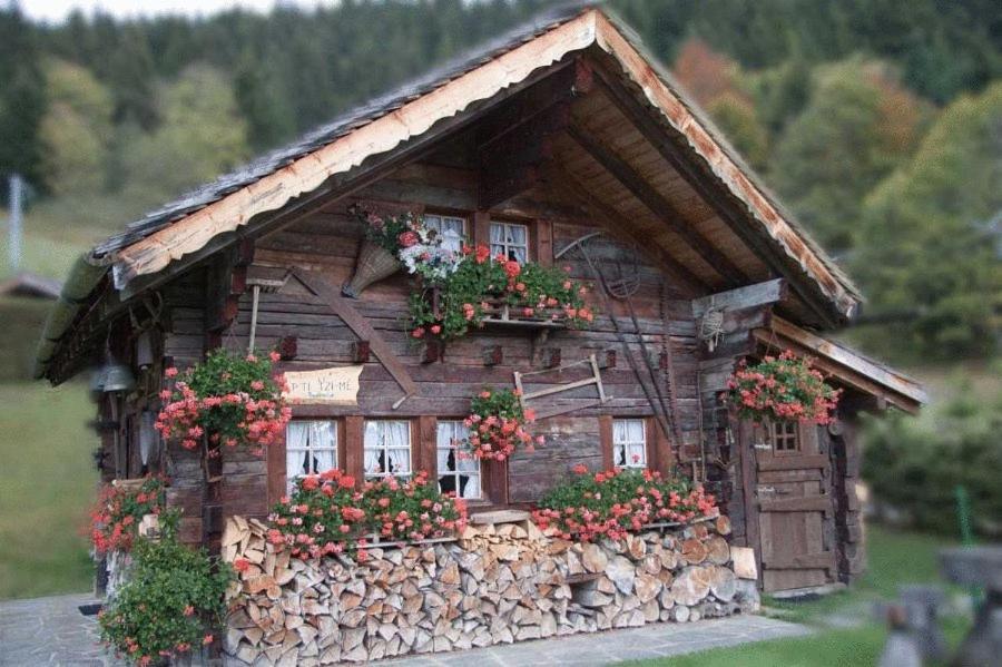 Villa Le P'ti Tzi-Mé Villars-sur-Ollon Esterno foto